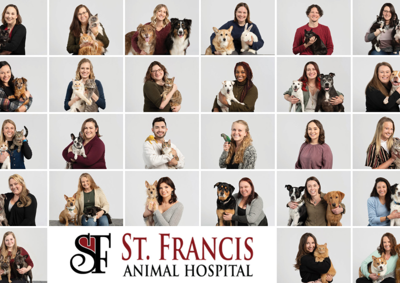 Carousel Slide 1: Meet our compassionate staff!